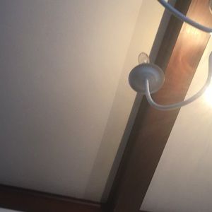 Meet your Posher, Loralee